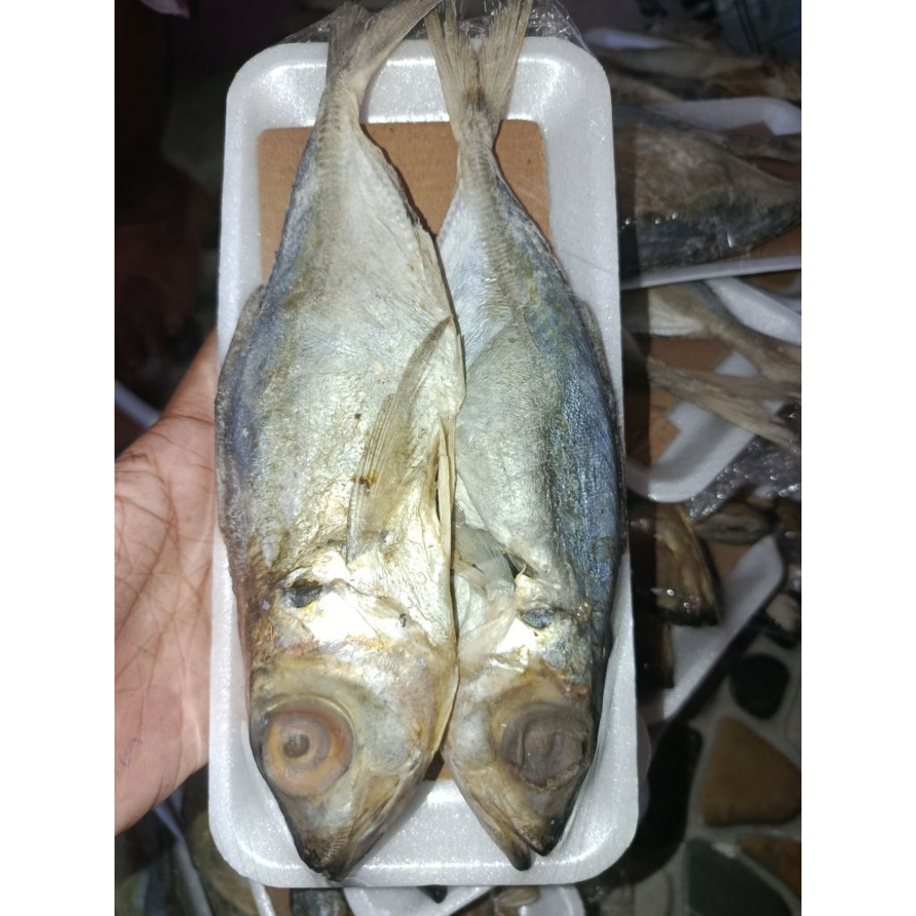 

IKAN ASIN PEDO KHAS ASMORO QONDI TUBAN