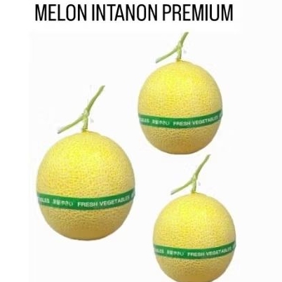 

MELON INTANON ORGANIK 1 buah [PERBUAH]