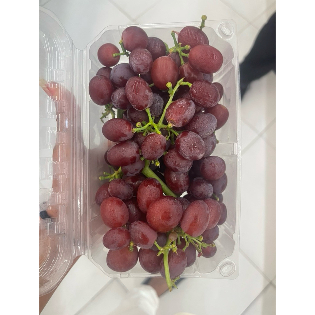 

Anggur Red Candy Snap | Anggur Import Sweet | Pack