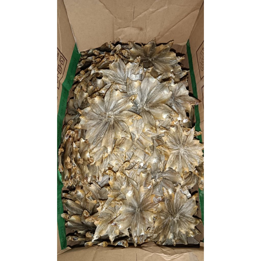 

Ikan Asin sepat kering