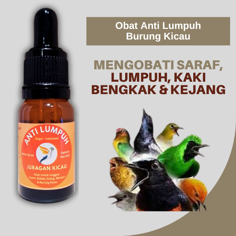 Anti Saraf Burung Kicau Bantu Obati Masalah Saraf Lumpuh Kaki Bengkak