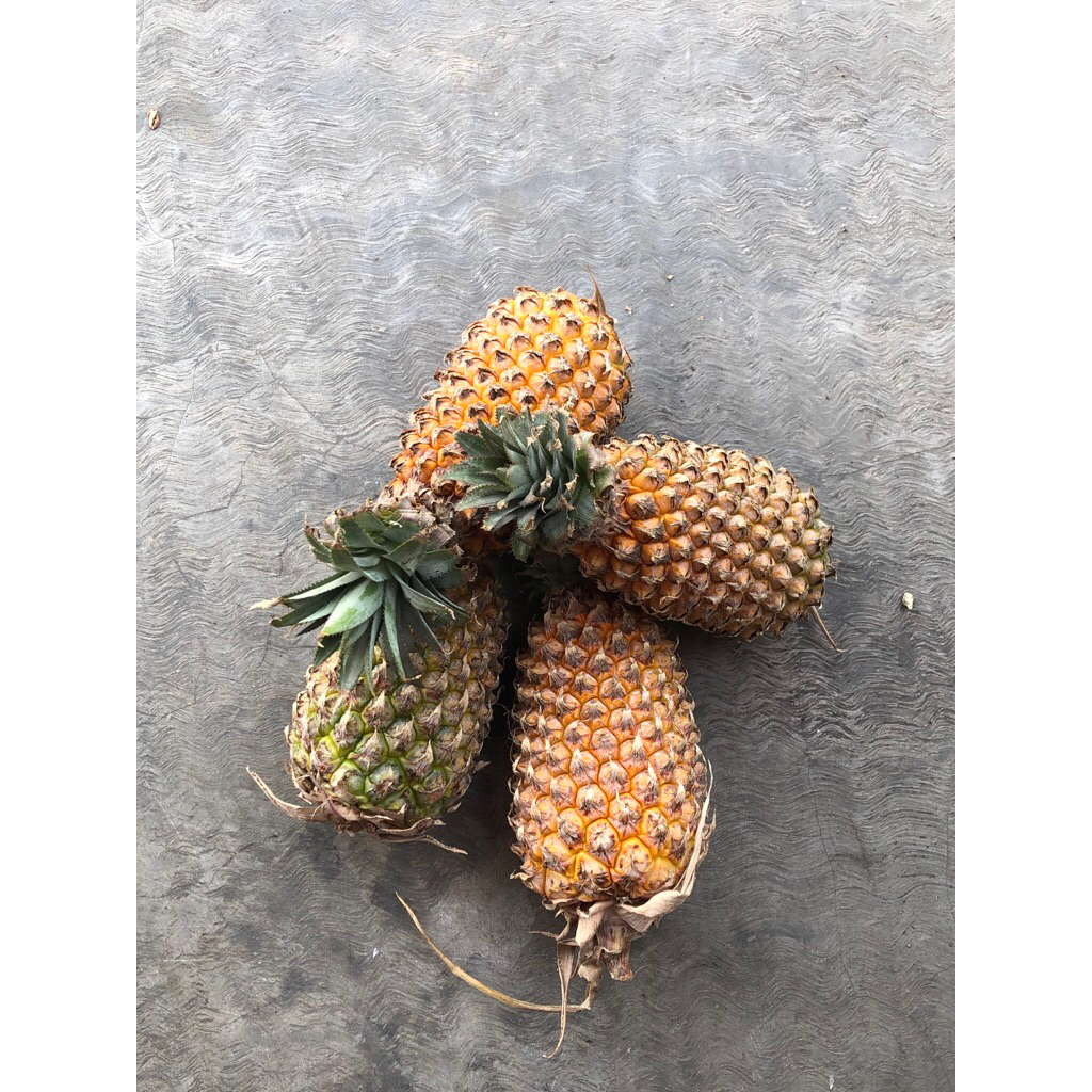 

nanas madu kelud perbiji