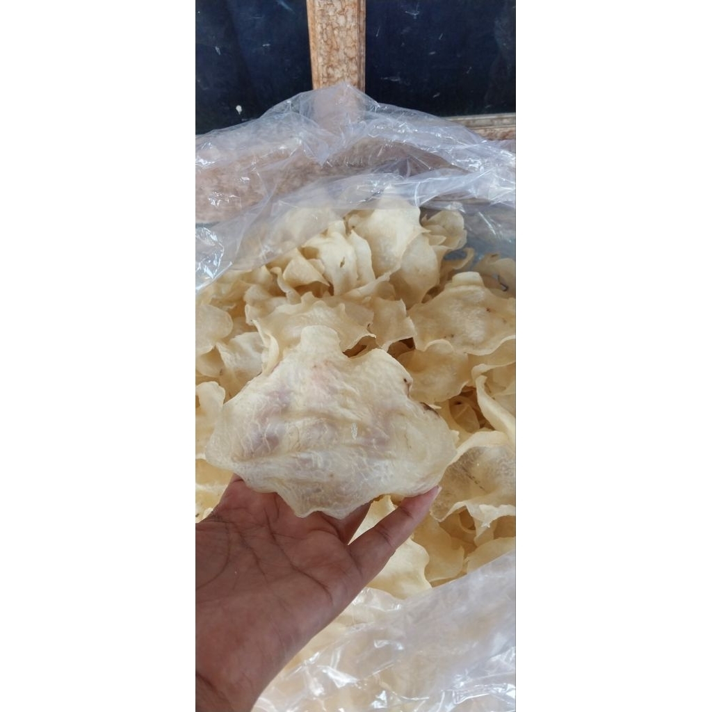 

kerupuk gadung 1 kg lebar 40 cm