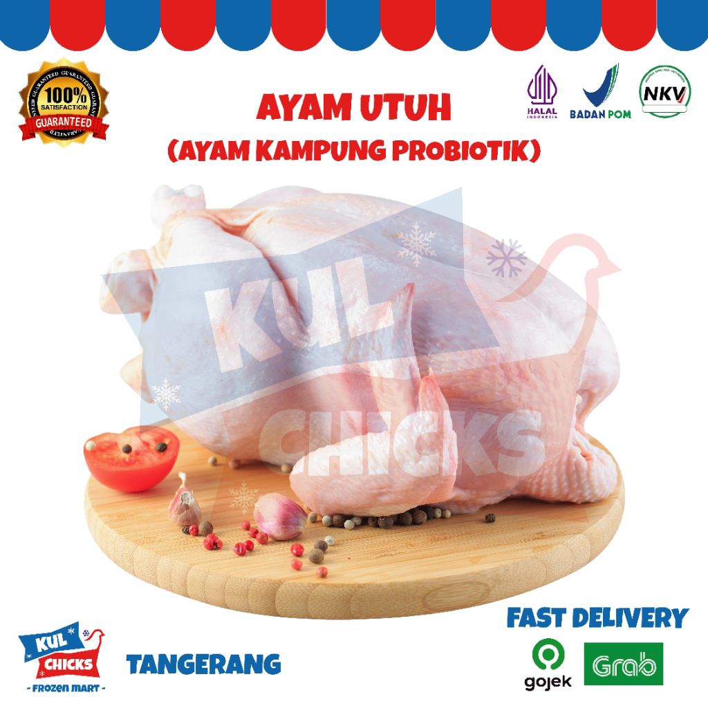 

ayan utuh probiotik kampung