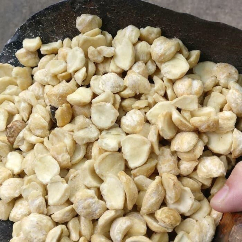 

Kemiri Pecah Super - Kualitas Premium | Siap Olah