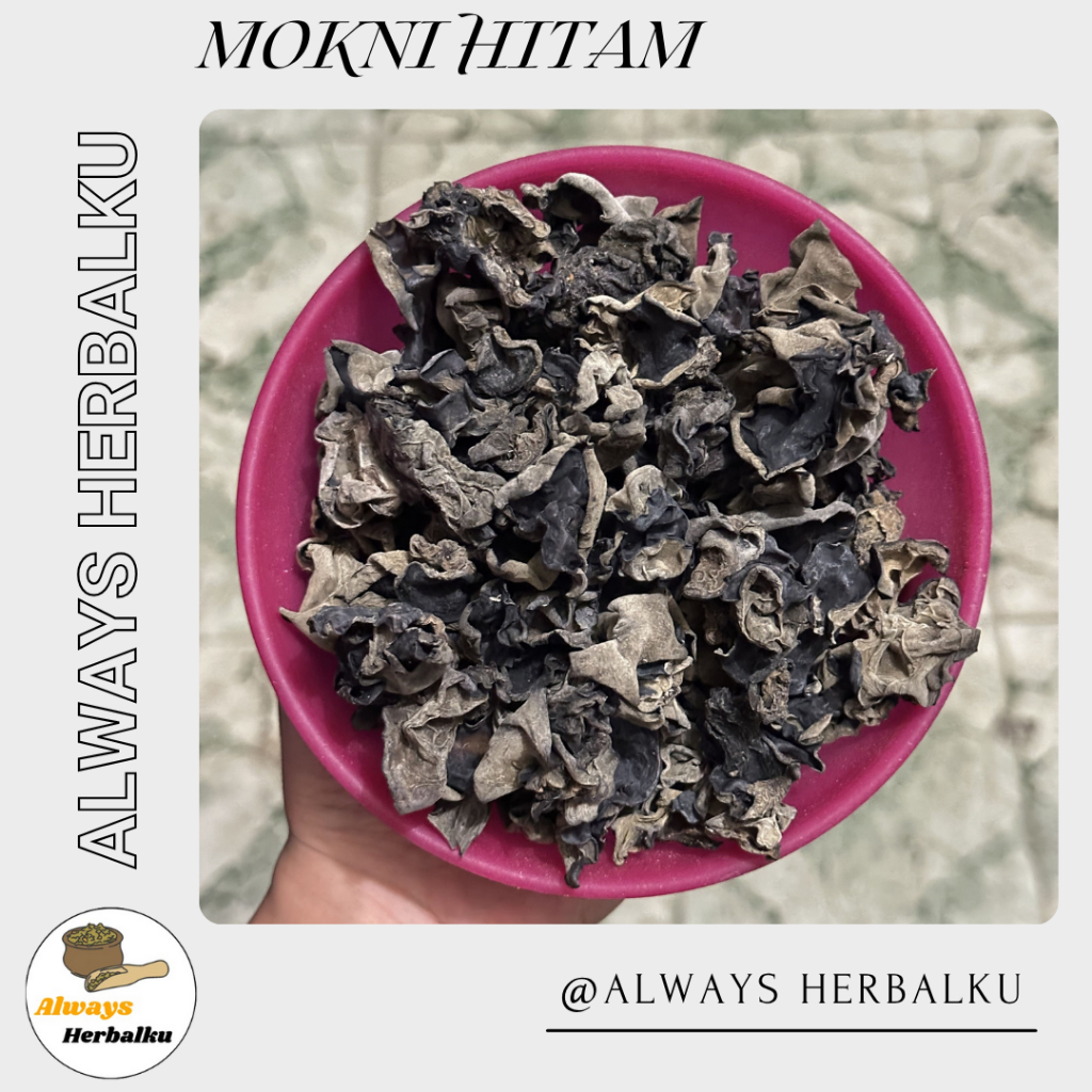 

Mokni hitam / bokni hitam / jamur kuping / Auricularia auricula−judae (500gr)