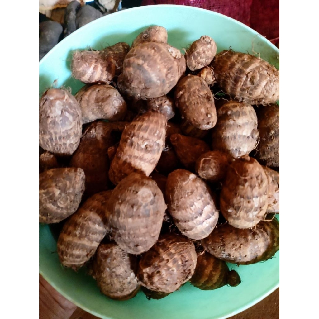 

Talas jepang 1kg, talas asli/tales/taro 1KG