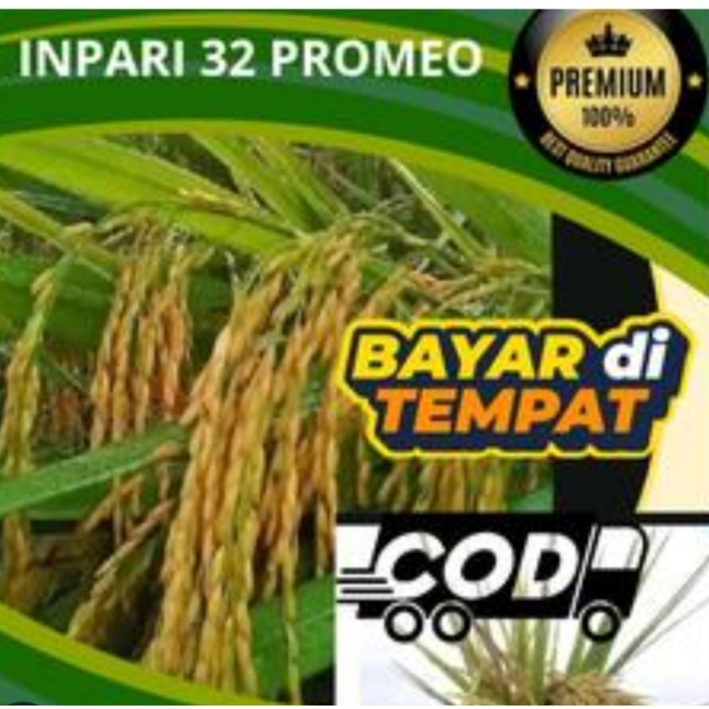 Benih Bibit padi inpari 42 kemasan 1Kg