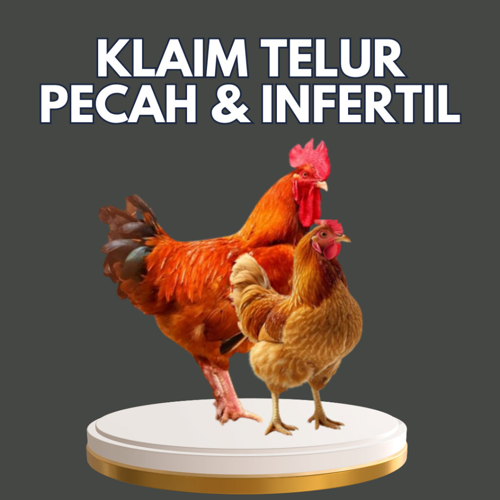 

KLAIM TELUR INFERTIL DAN PECAH DISINI