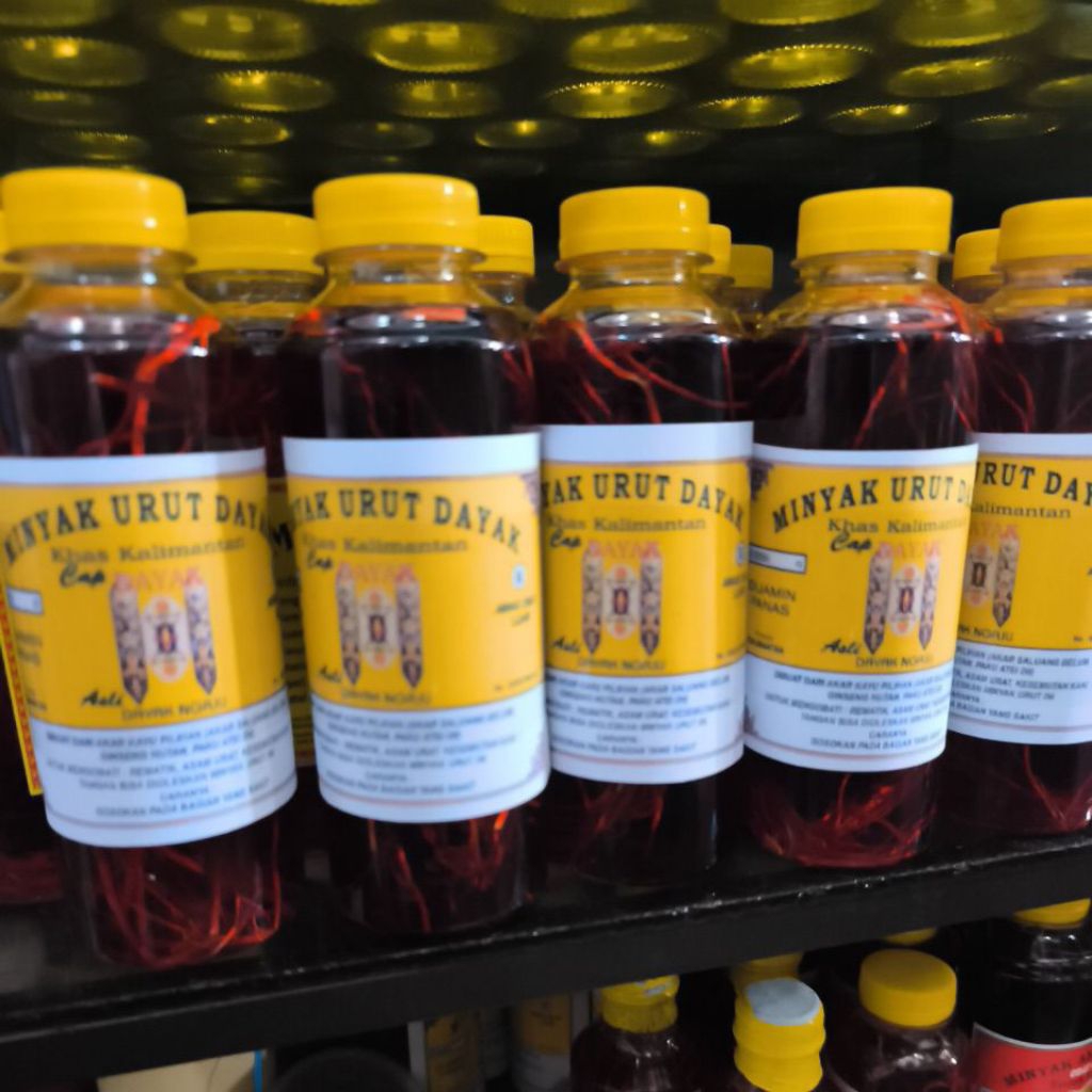 minyak urut urut dayak kalimantan