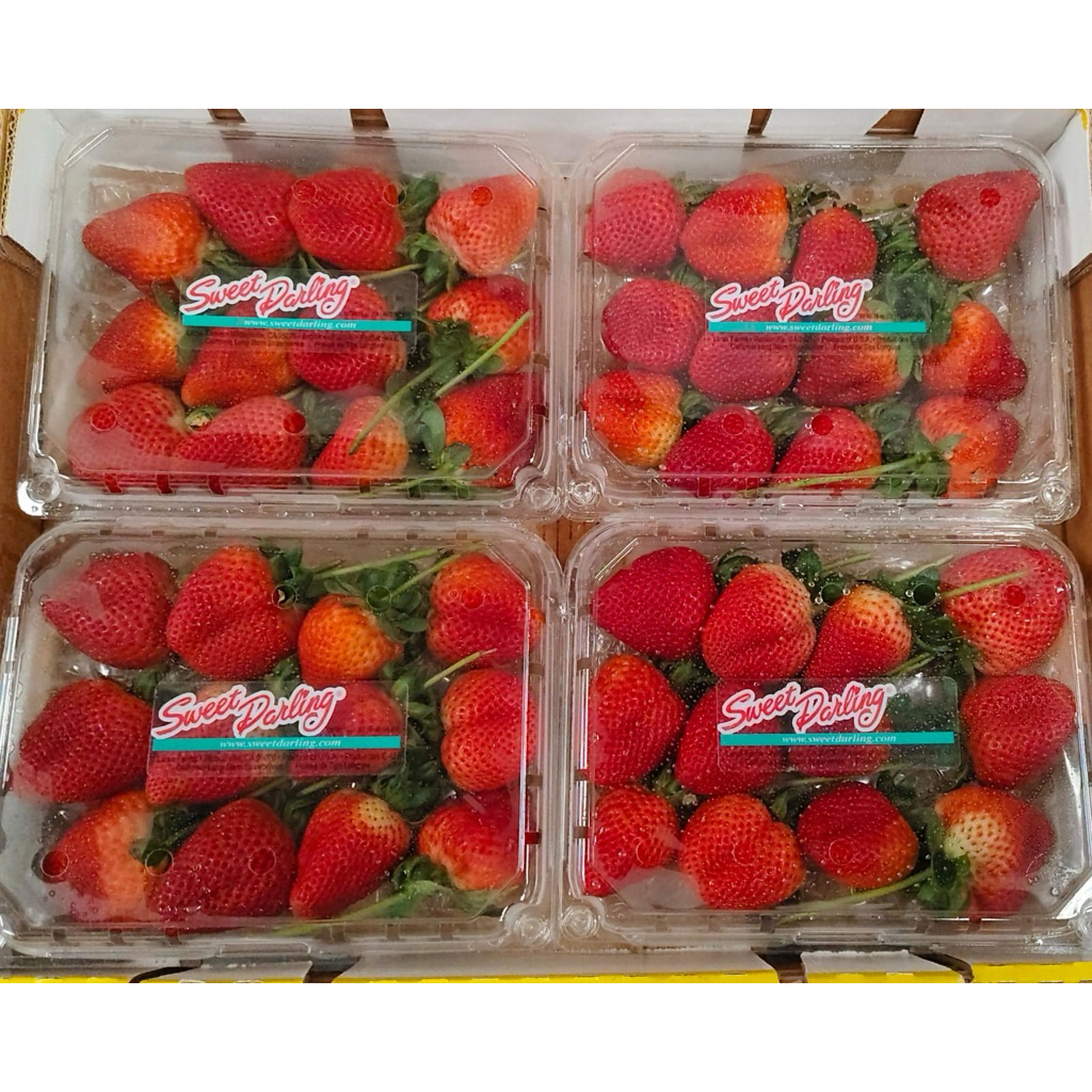 

STRAWBERRY USA