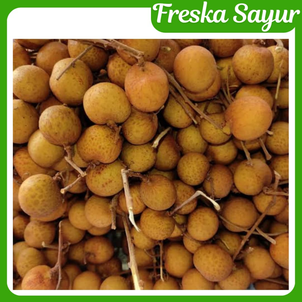 

Buah Lengkeng Segar 1 Kg I Manis Best Seller