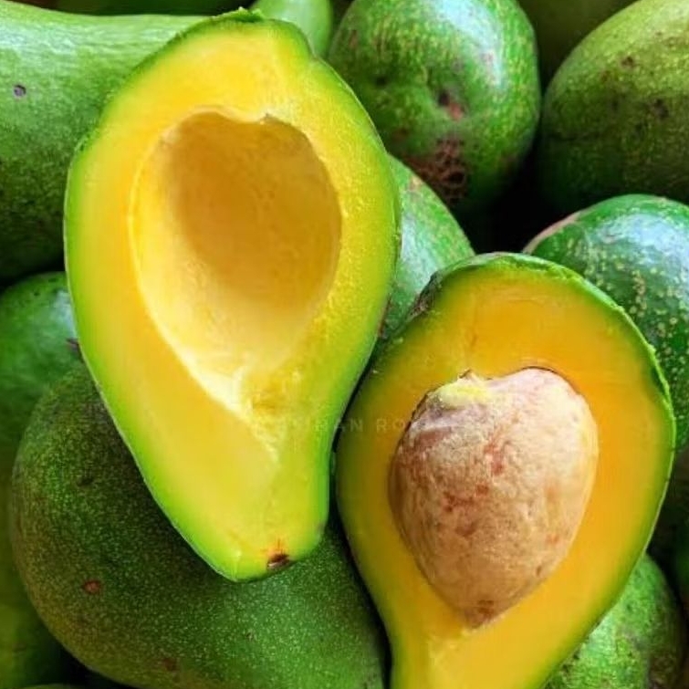 

Alpukat mentega besar paket hemat 2Kg 5Kg