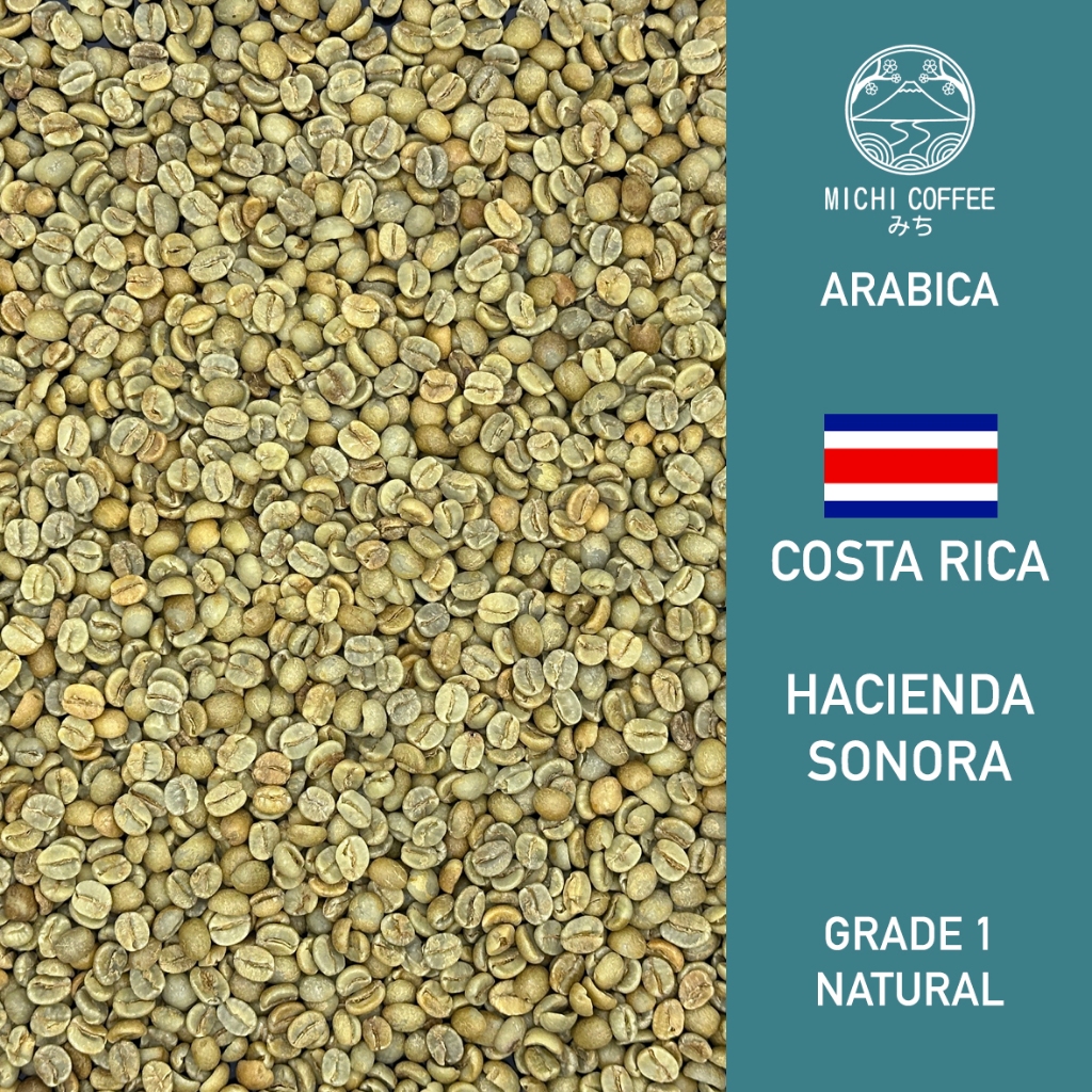 

Single Origin Specialty Green Bean ARABICA COSTA RICA HACIENDA SONORA ESTATE Biji Mentah Grade 1