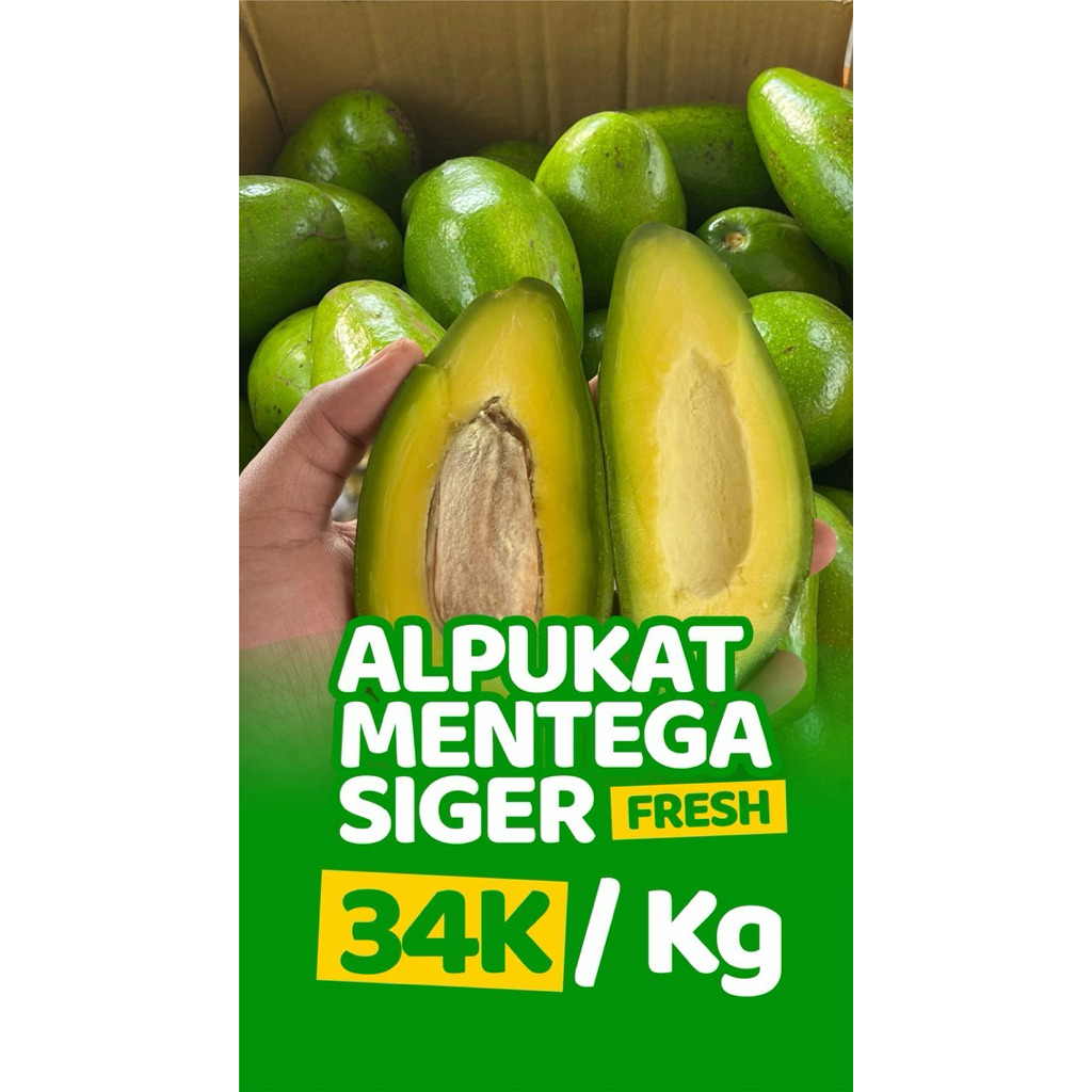 

Alpukat mentega premium