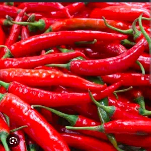 

cabe merah besar 500 gr