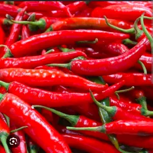 

cabe merah besar 1 kg