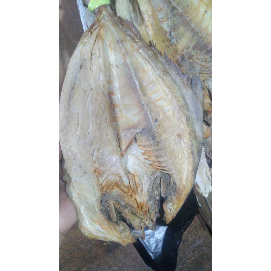 

ikan asin bawal