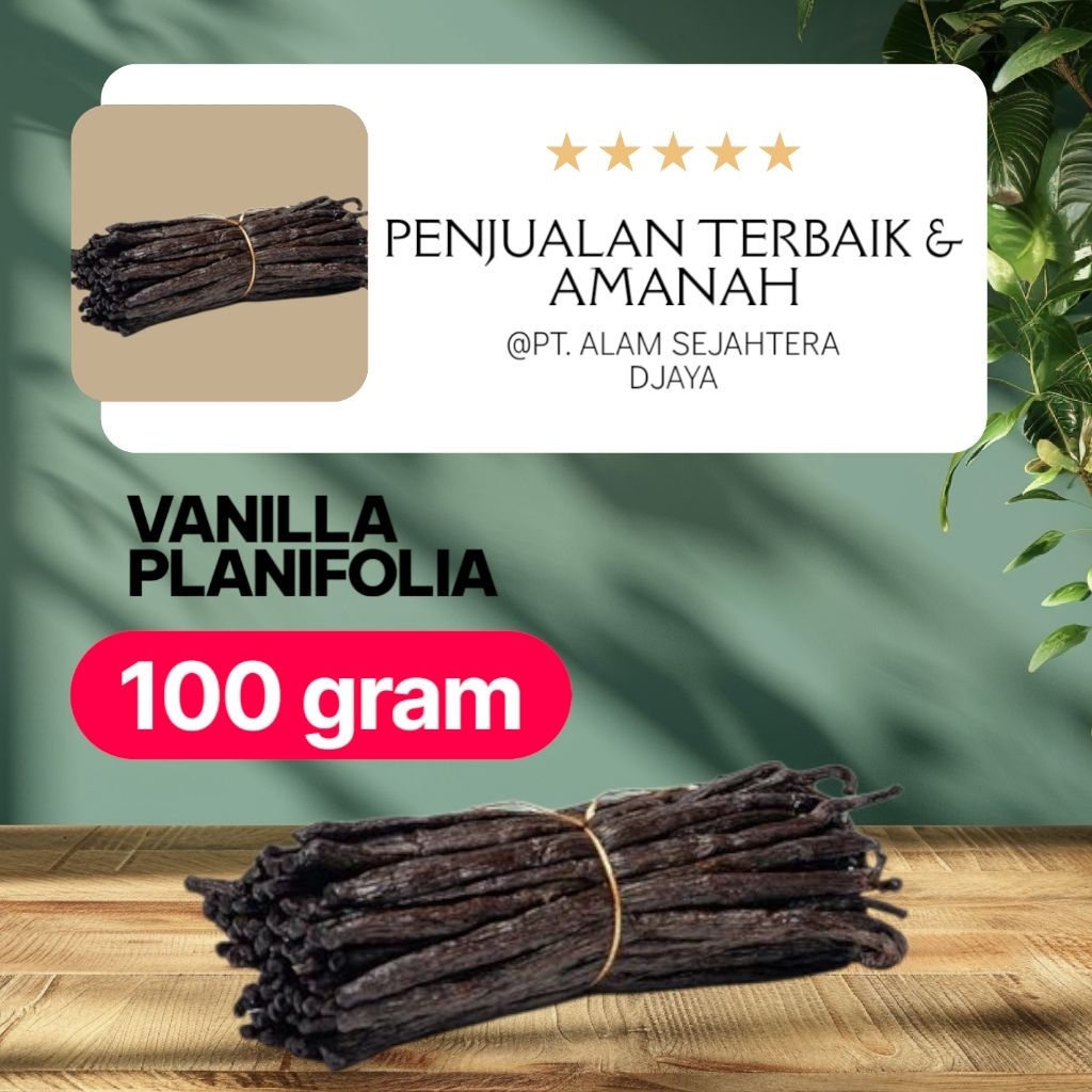 

100 gram Vanilla planifolia Grade A Panjang 17-22 Cm