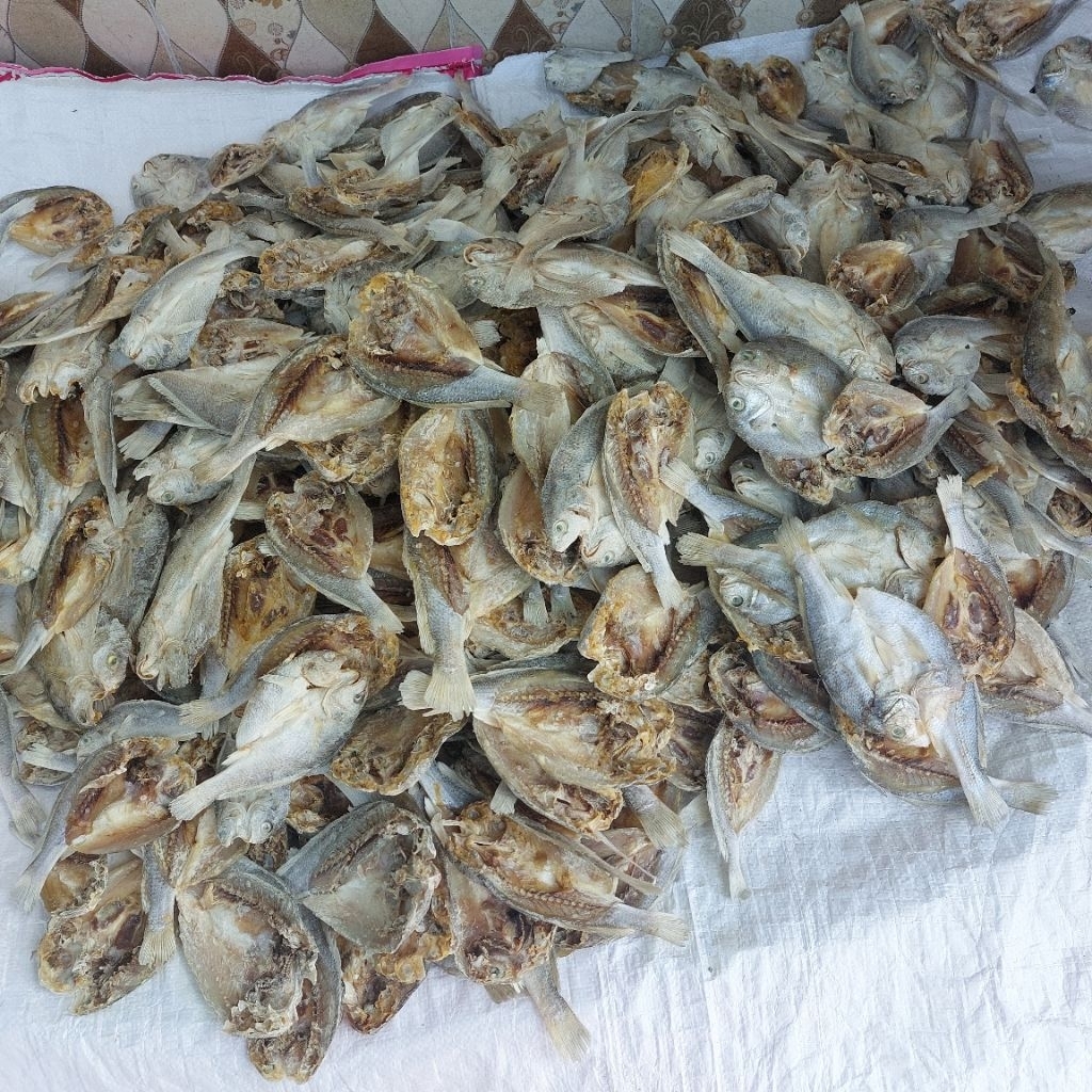 

Ikan Asin Gulama Kepala Batu