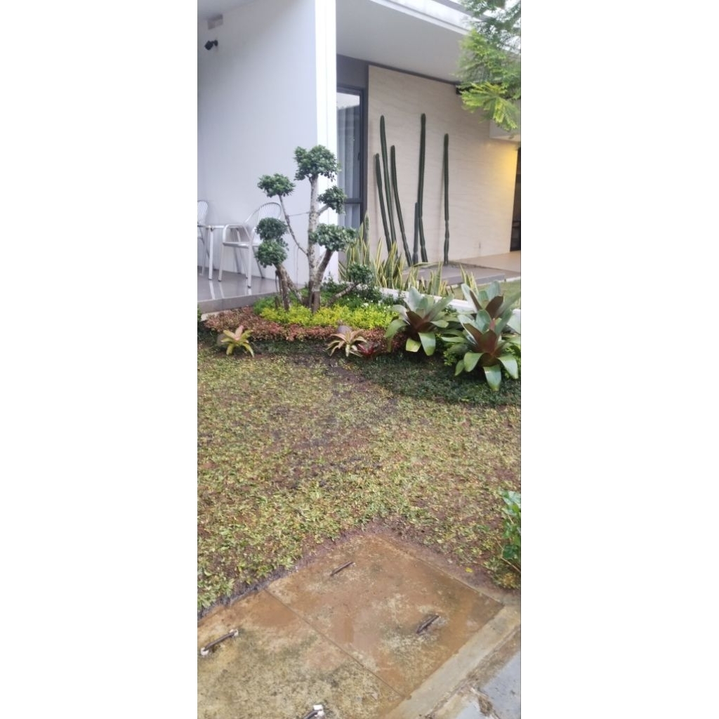 tukang taman perumahan minimalis/tukang taman murah