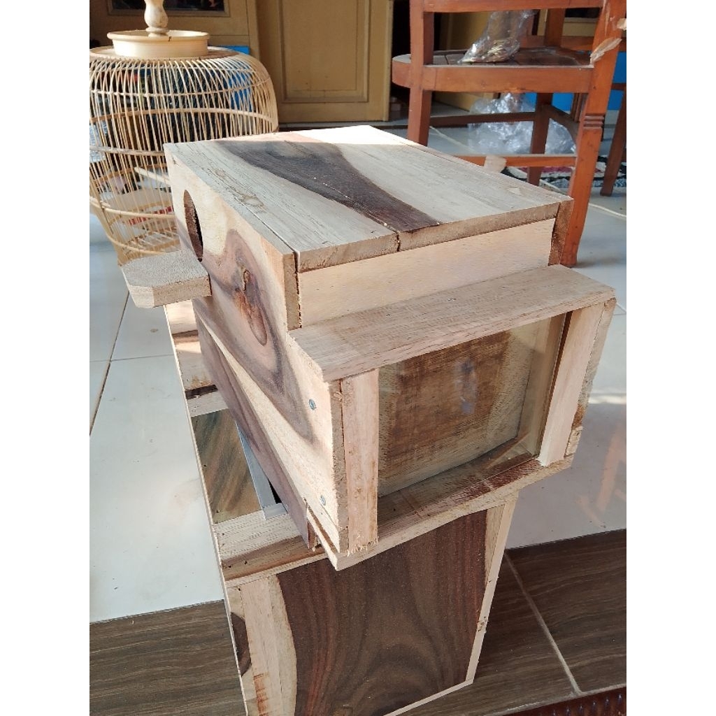 GLODOK KACA SARANG TEMPAT TERNAK/ Glodok kaca BURUNG falk murai sun conore