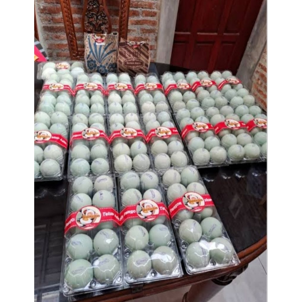 

TELUR ASIN + TELUR PUYU