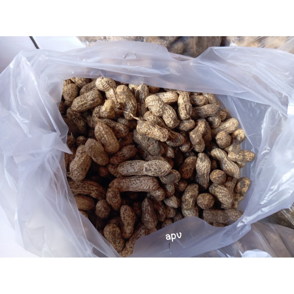 

kacang tanah kacang kulit mentah 1 kg