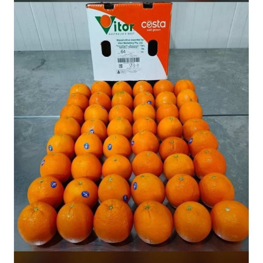 

Jeruk Navel Australia Vitor /kg