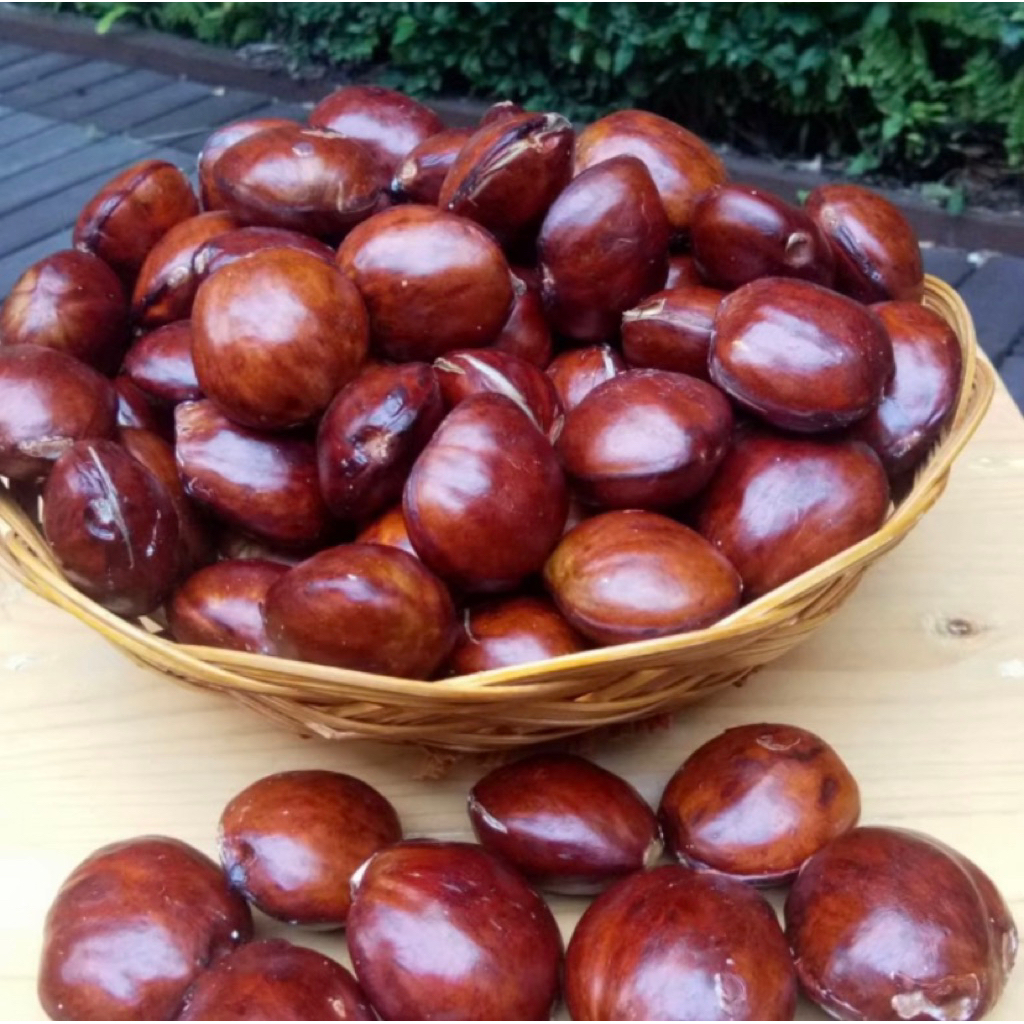 

Jengkol Tua 1 kg (bisa COD)