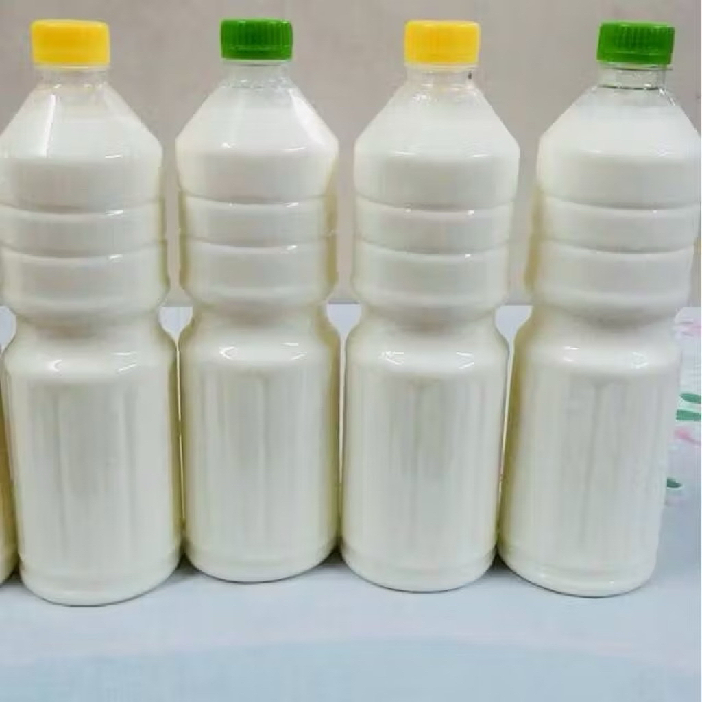 

SUSU SAPI SEGAR MURNI 100% SUSU SAPI PERAH MENTAH BELUM DIMASAK KHUSUS INSTANT AREA MALANG