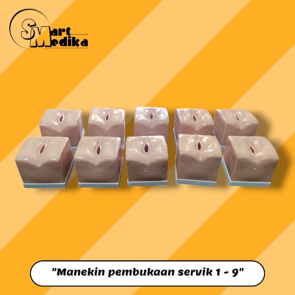 PHANTOM MANEKIN PEMBUKAAN SERVIK / MANIKIN PERAGA PEMBUKAAN SERVIK 1-10