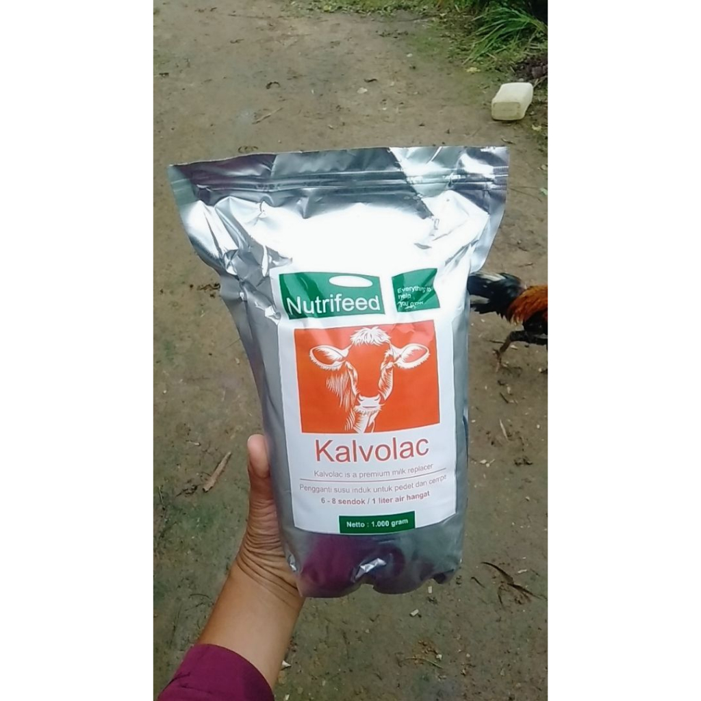 

Susu Kalvolac Nutrified Kalvolak 1Kg Pengganti Susu Induk Anak Kambing Domba Cempe Cemple Sapi Pedet