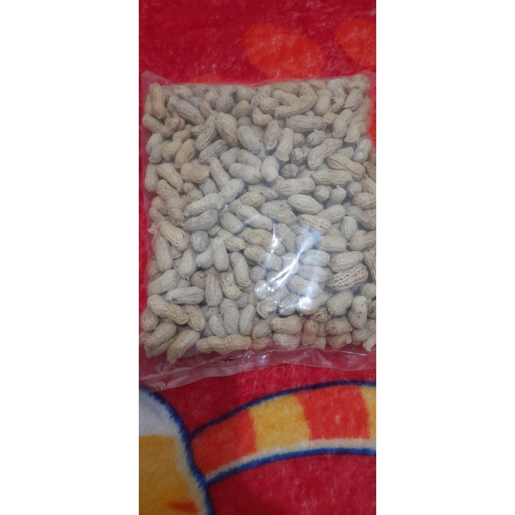 

kacang kulit oven, kacang kulit asin, kacang kulit asin oven fresh