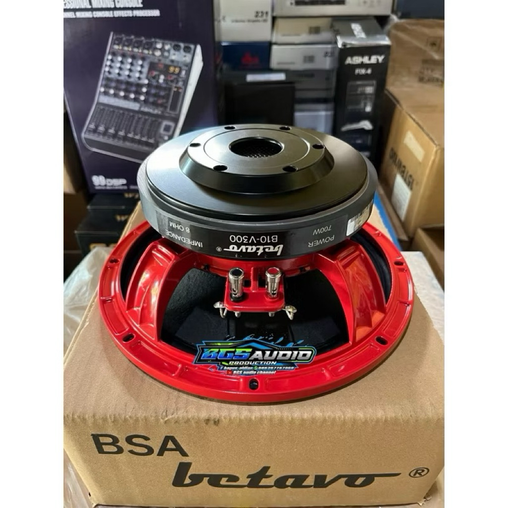 Komponen Speaker Betavo 10v300 / Speaker Betavo 10in