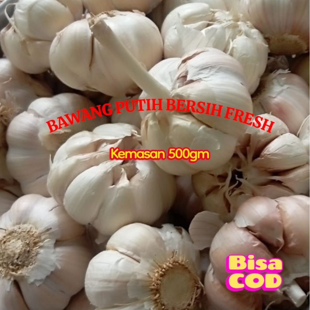 

BAWANG PUTIH FRESH 500 GM / SETENGAH KILO