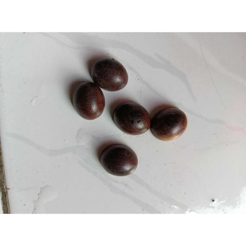 Mata Cincin Kayu Galih Asem Jawa Original