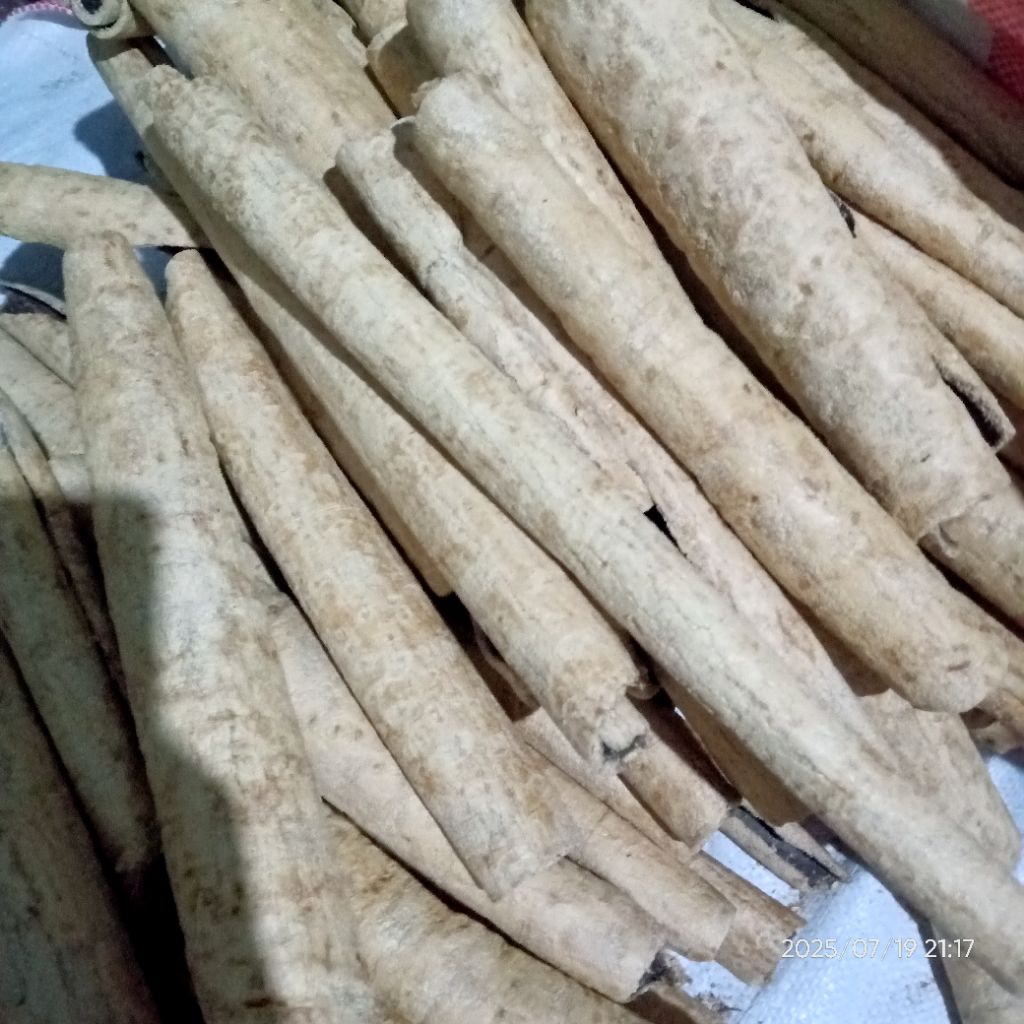 

kulit kayu pule kering 250 gr