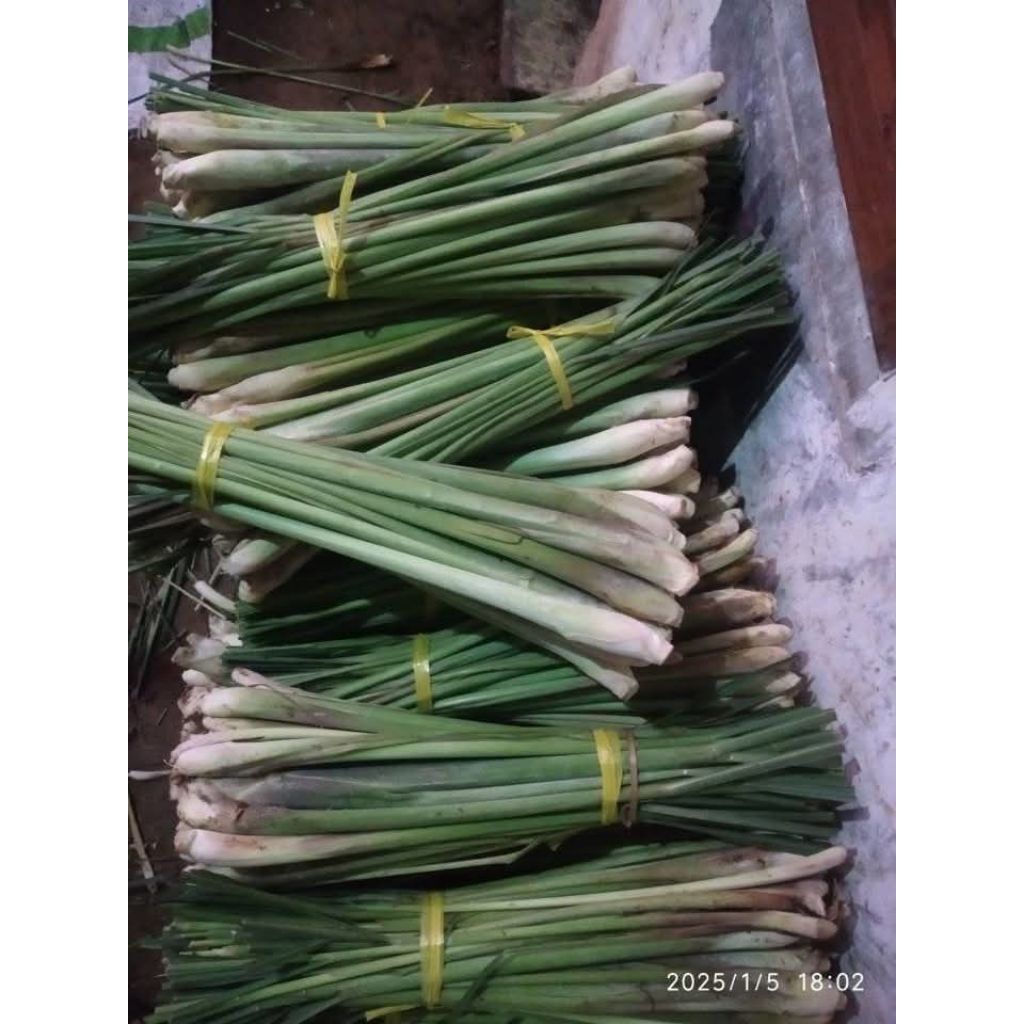 

1kg Sereh/Serai Jumbo Segar&Fresh