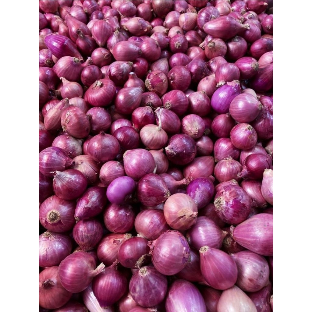 

Bawang Merah Lokal Grade A Super