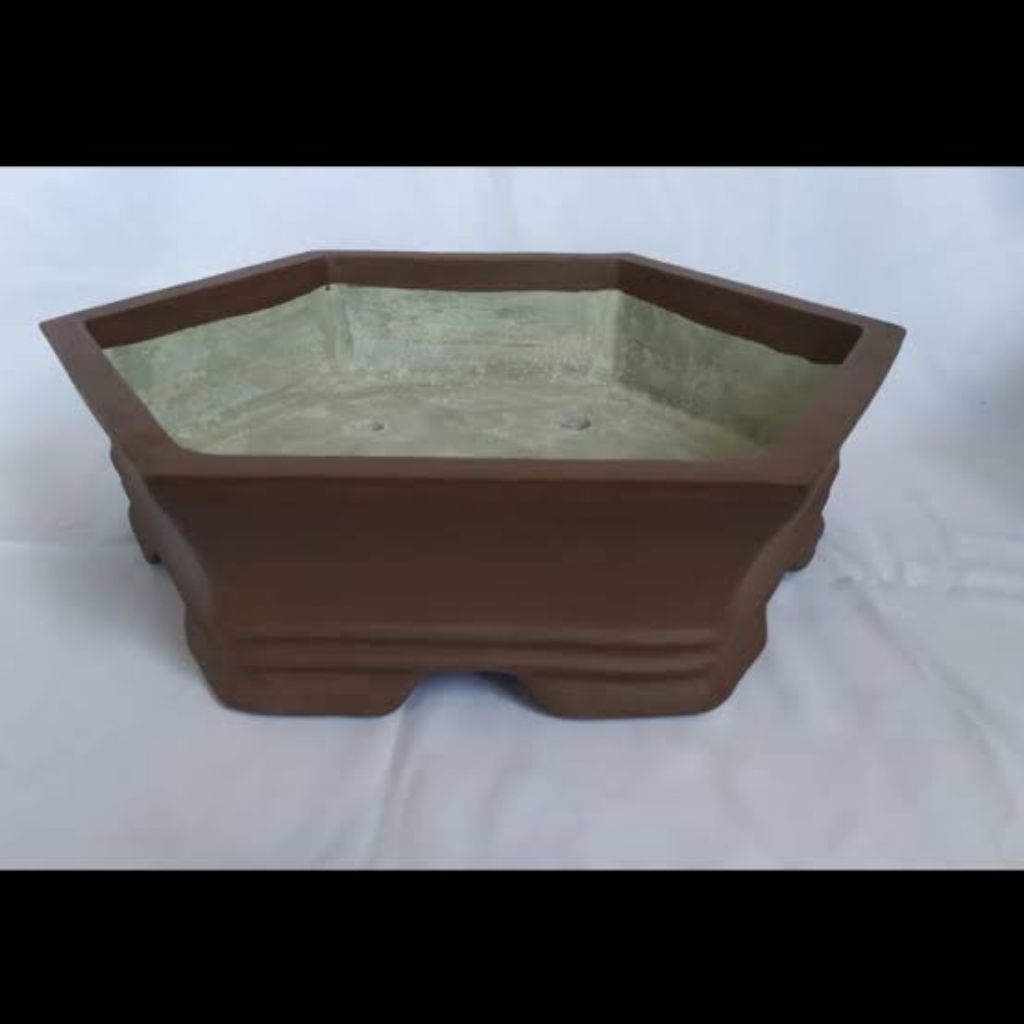 Pot Bonsai segi enam