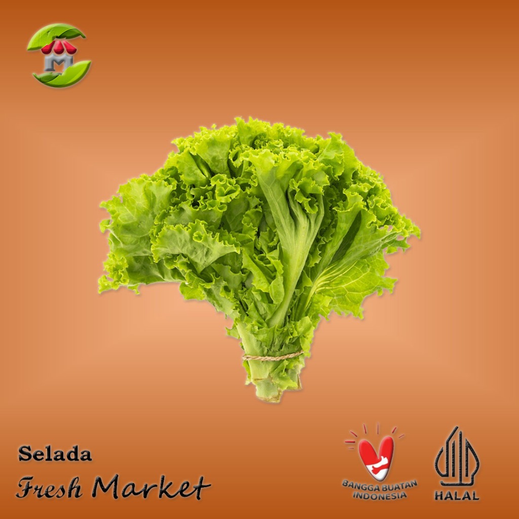 

[Bintaro] Selada Segar Pack 250gr