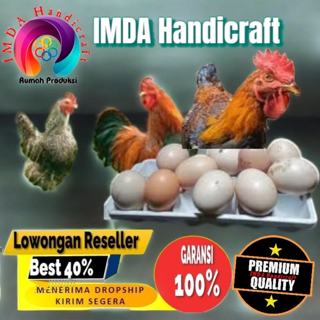 

IMDA HANDICRAFT Paket 6 Pcs TELUR FERTIL AYAM KUB2 Jalur PETELUR FI MURNI KUB2 Perent Stock Bisa Ditetaskan Kembali Kwalitas Super Jaminan Menetas Hasil Peternak Profesional