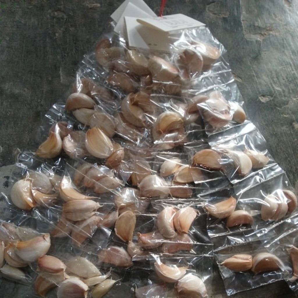 

BUMBU DAPUR BAWANG PUTIH RENTENGAN 50 pcs GROSIR