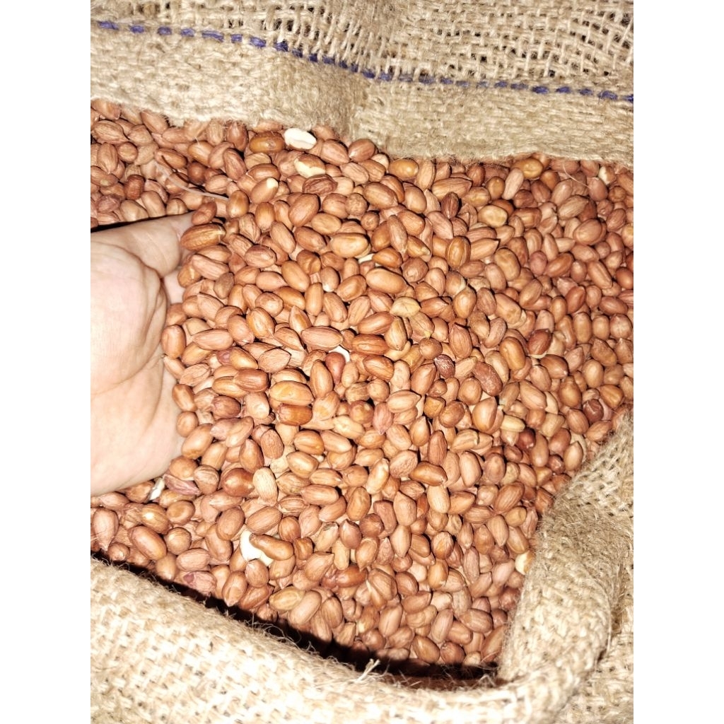 

Kacang tanah Tj 1 kg