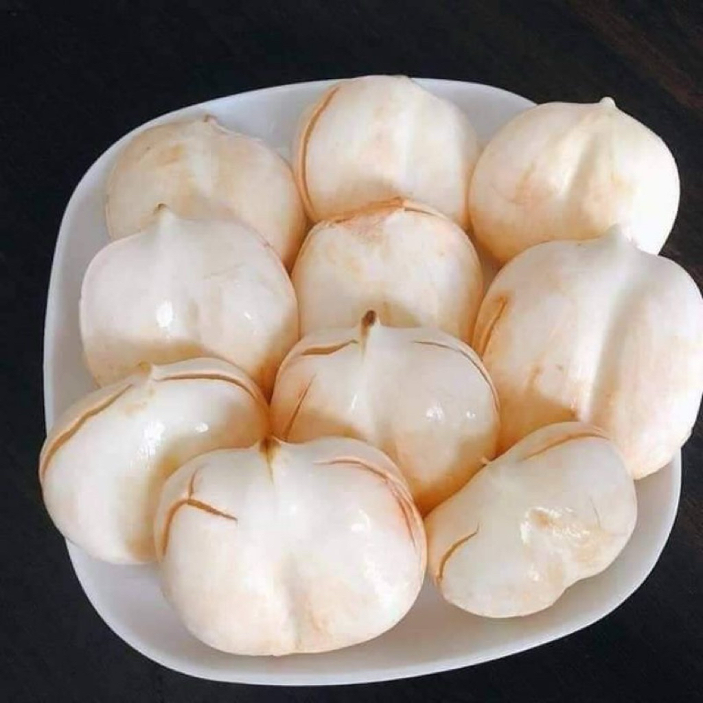

Buah Lontar Buah Siwalan Kupas