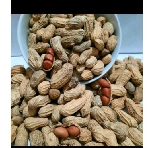 

kacang kulit panggang 131gr promo!!