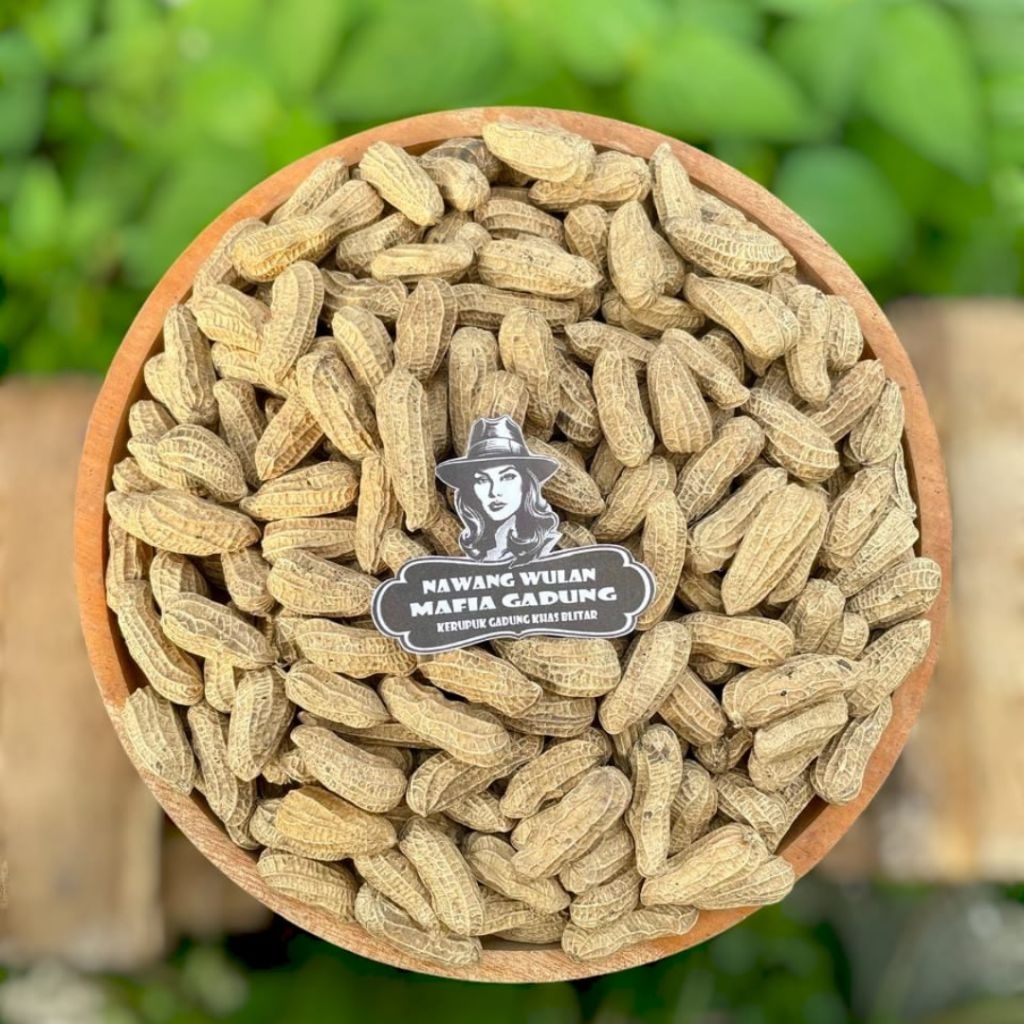 

500 Gram Kacang Sangrai Bendo Mentes Mentes Gurih Manis Renyah