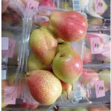 

Buah Pear Forelle pack per 1 dus karton