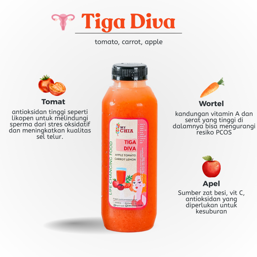 Tiga Diva Healing Juice 250ml jus apel wortel tomat